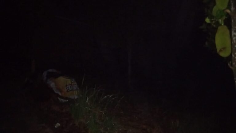 IMG-20250418-WA0010