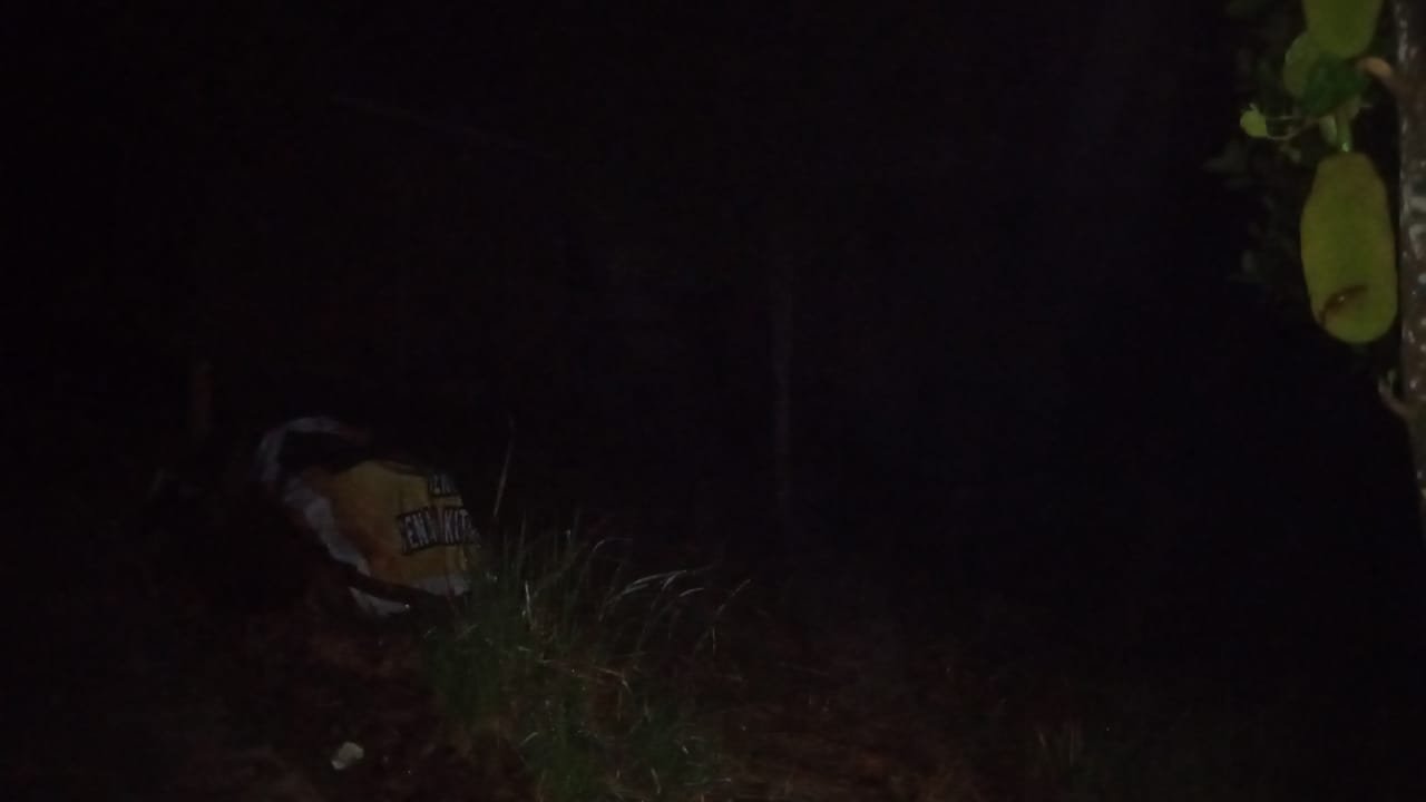 IMG-20250418-WA0010