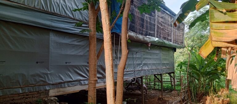 IMG-20250624-WA0171