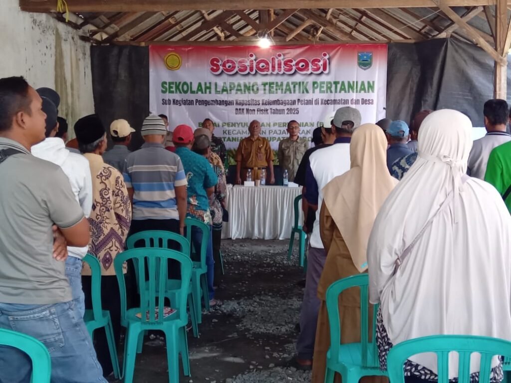 IMG-20250722-WA0059